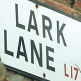 lark-lane